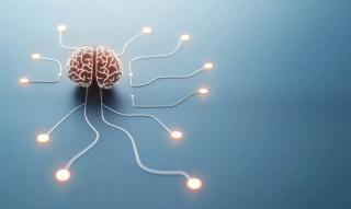 brain connections