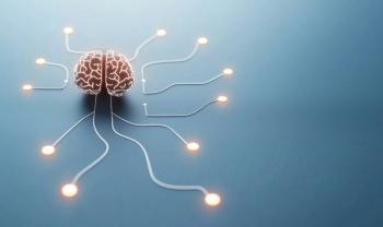 brain connections