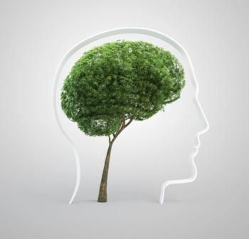 Mopic/AdobeStock
