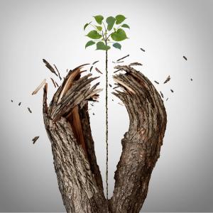 Introducing a New Series: Racism and Climate Change