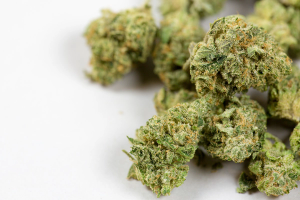 cannabis use