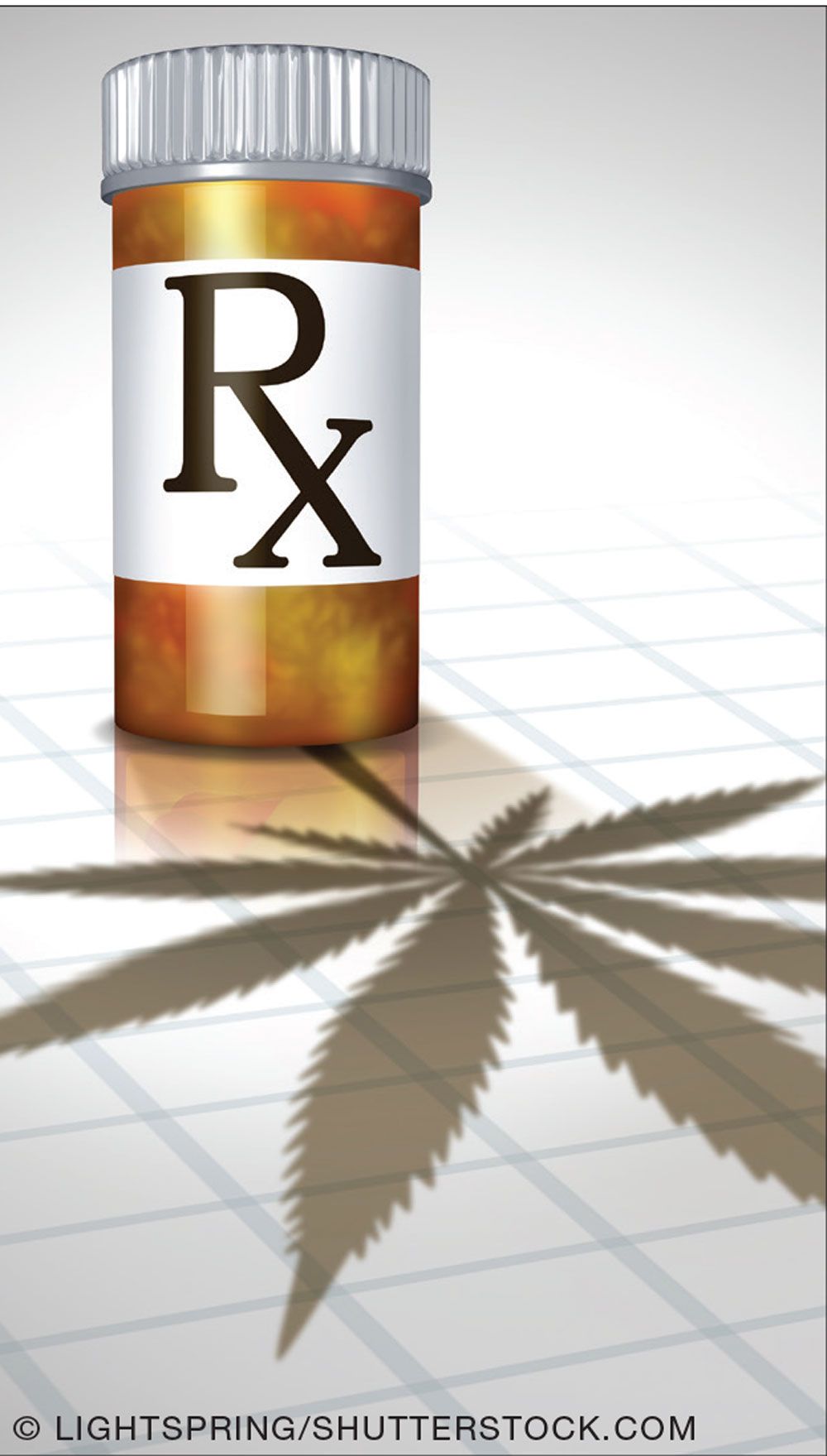 © LIGHTSPRING/SHUTTERSTOCK.COM