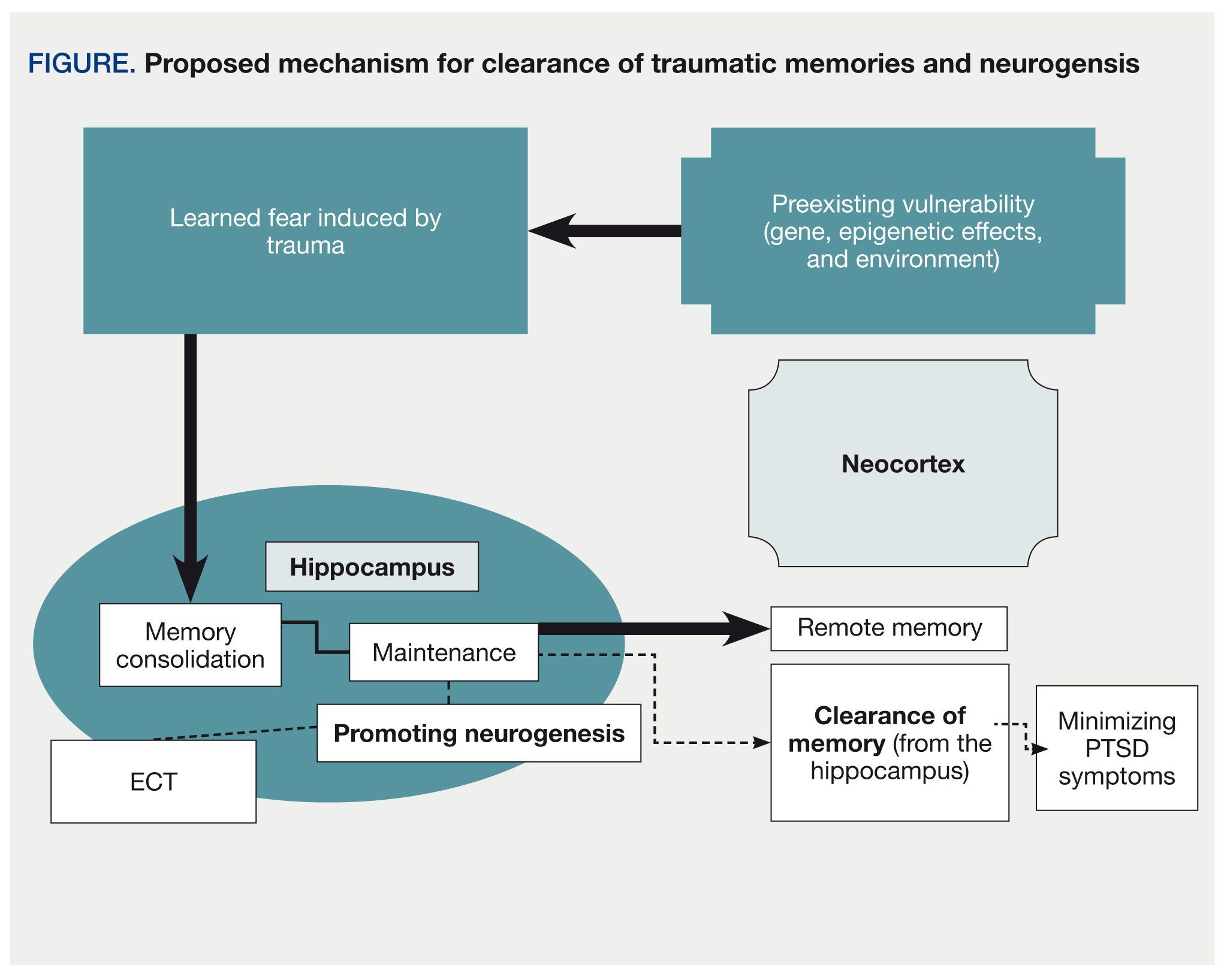 Proposed mechanism for clearance of traumatic memories and neurogensis