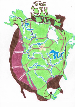 Psychiatrists on Turtle Island