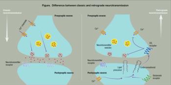 Difference between classic and retrograde neurotransmission