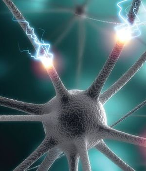 Stimulant Drugs Are Not the Culprit