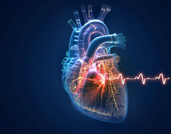 heart