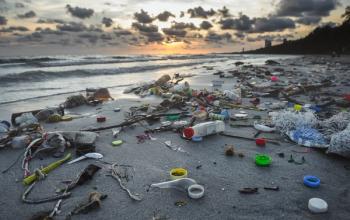 plastic pollution