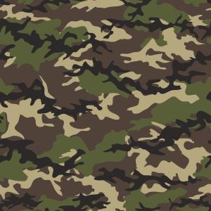 COVID, the National Guard, and the US Army  