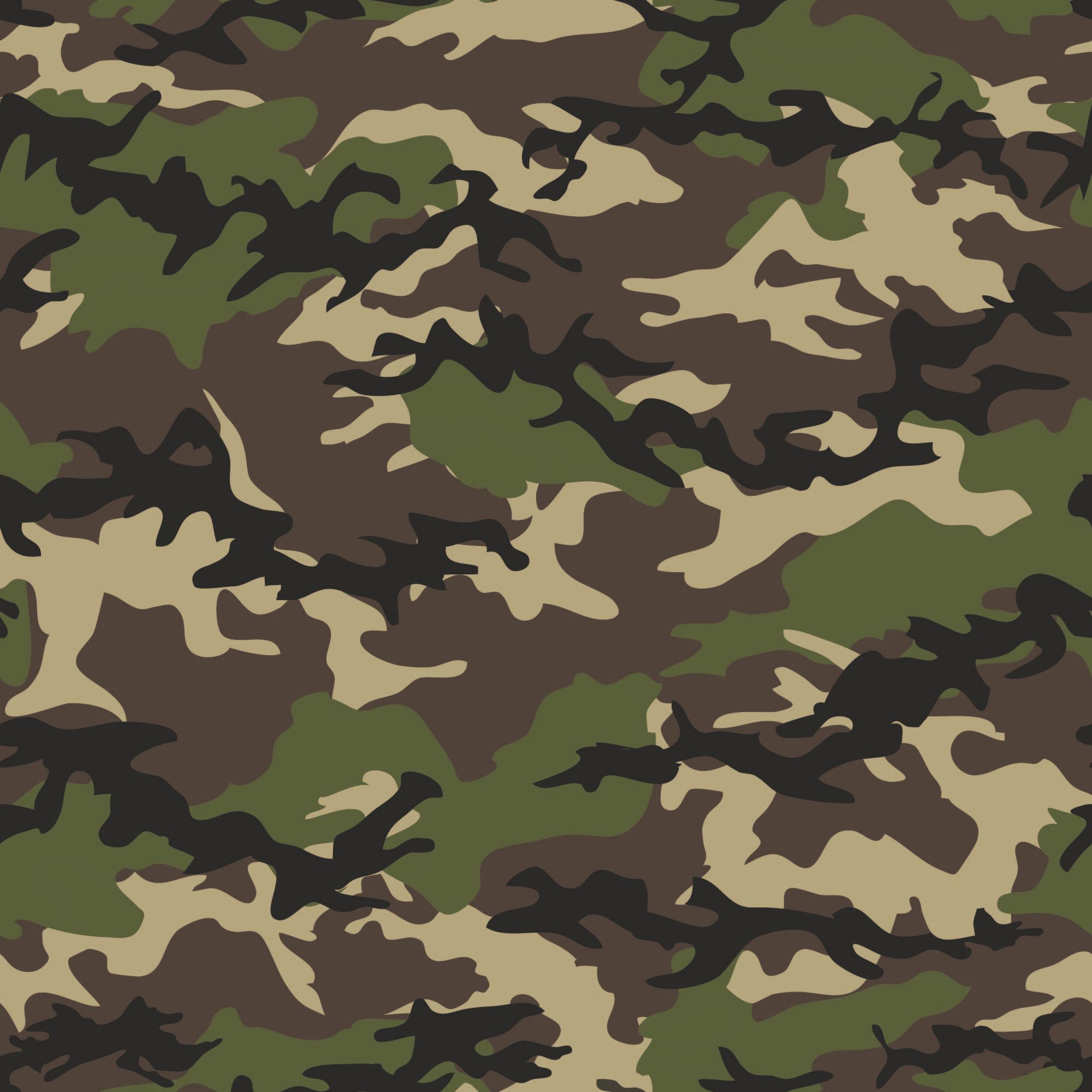 COVID, the National Guard, and the US Army COVID, the National Guard, and the US Army