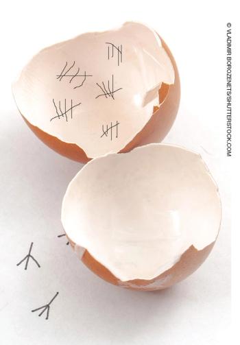 © VLADIMIR BOROZENETS/SHUTTERSTOCK.COM