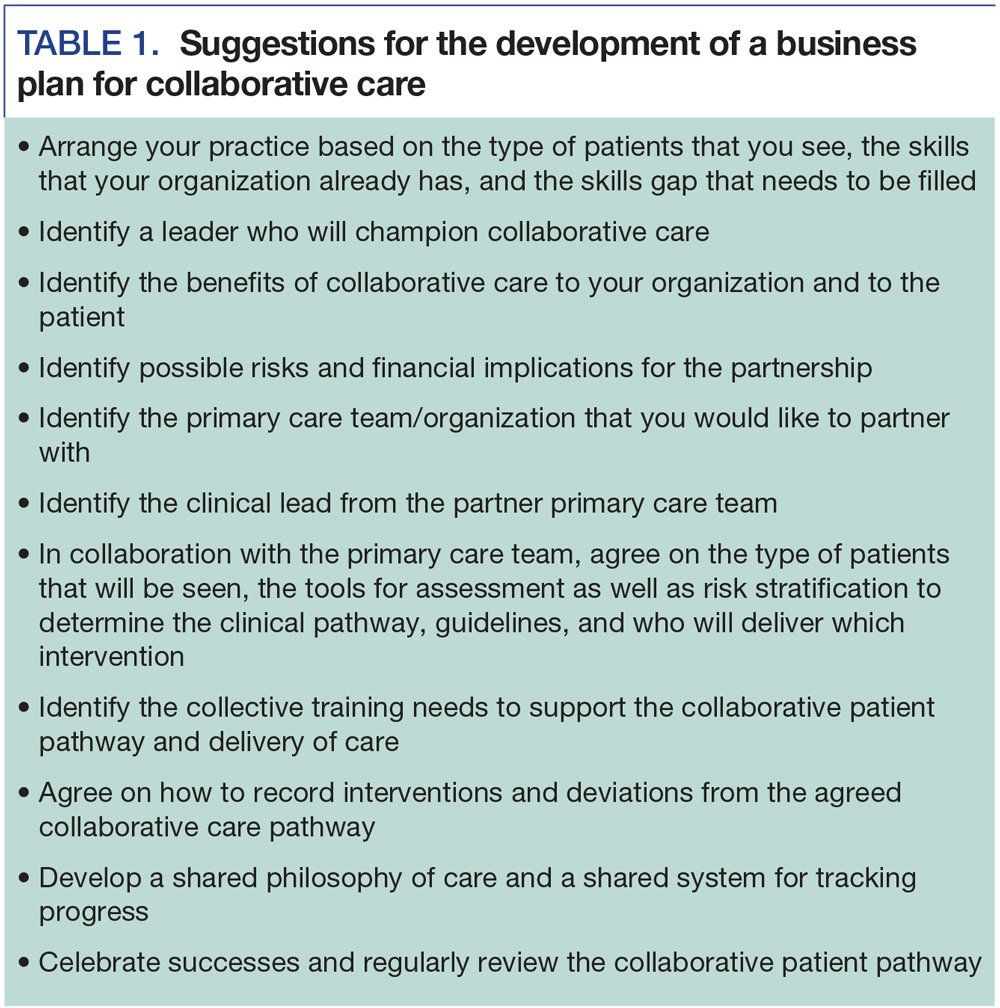 Suggestions for the development of a business plan for collaborative care