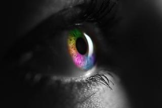 Are We a Traumatized Nation?