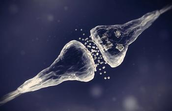 ©Adike/Shutterstock