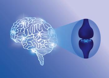 Endocannabinoid System