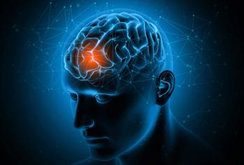 brain