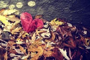 Turning Over a New Leaf