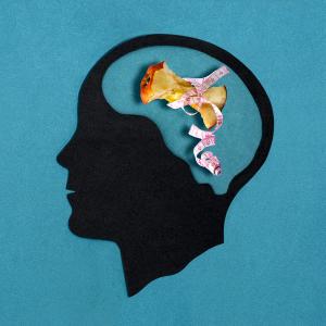 eating disorder brain