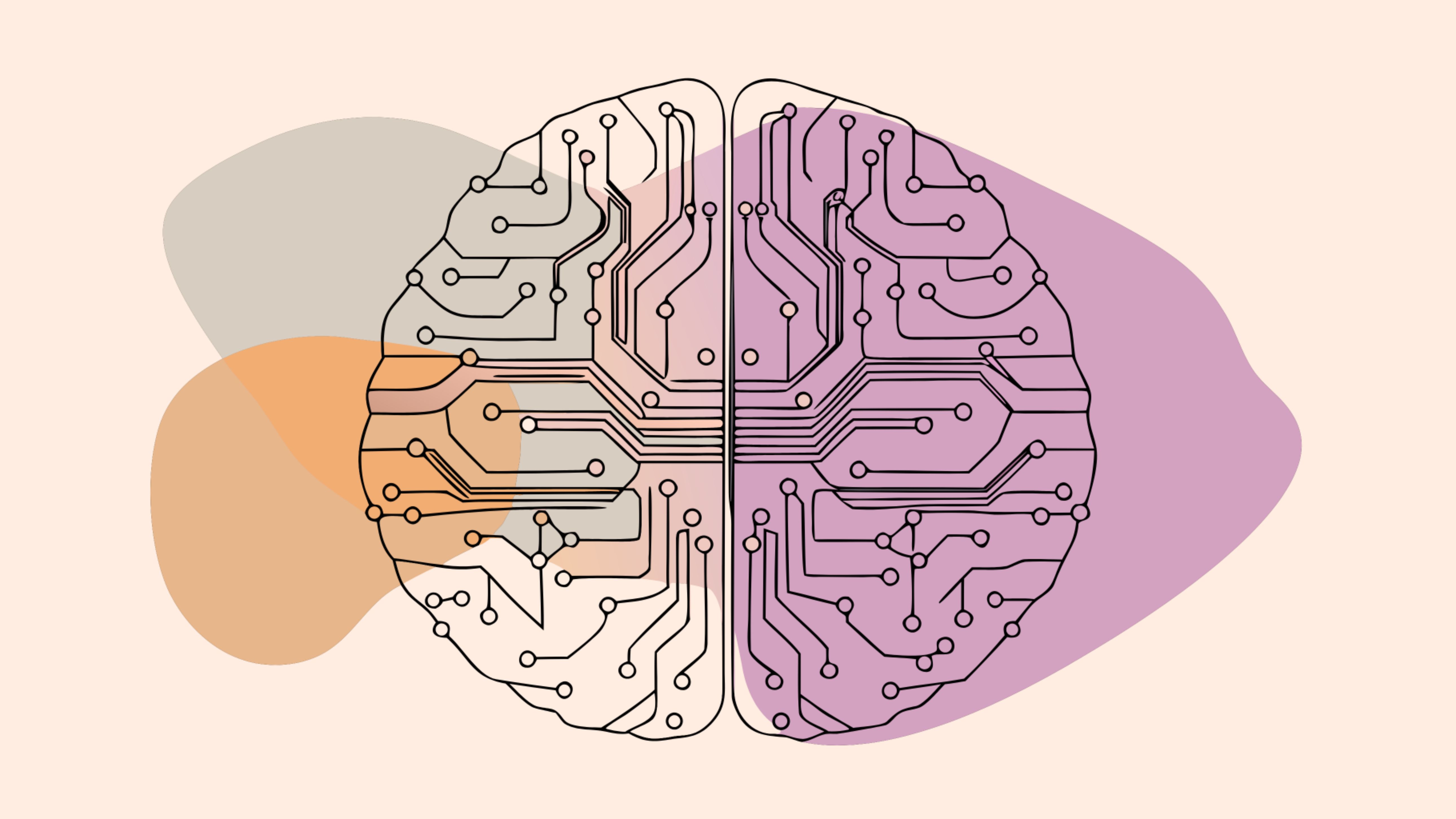 Muscarinic Cholinergic Circuitry in Schizophrenia: Our Evolving Understanding