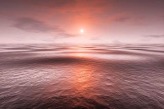 Words of Solace in Dark Times