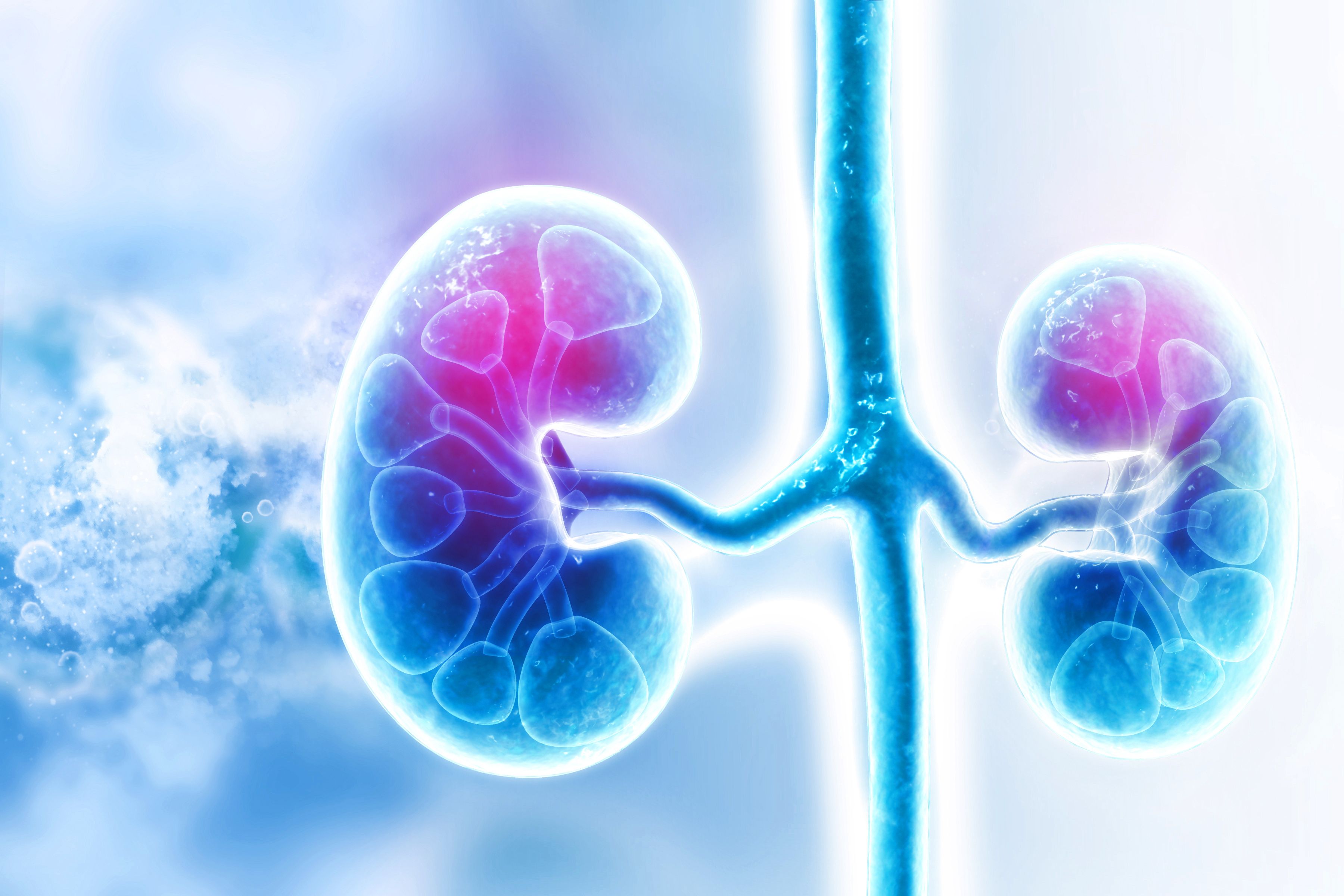 Demystifying Lithium Therapy—A Primer for Clinicians: Renal Issues, Part 1