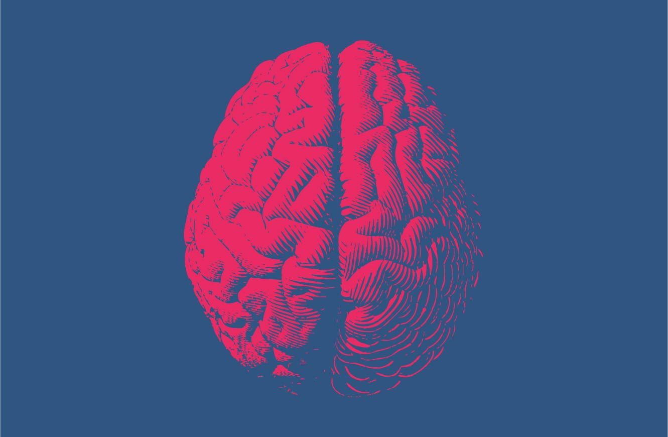 brain