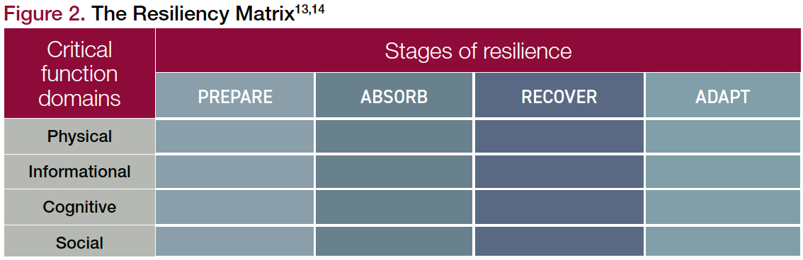 Resilience And Healthy Aging