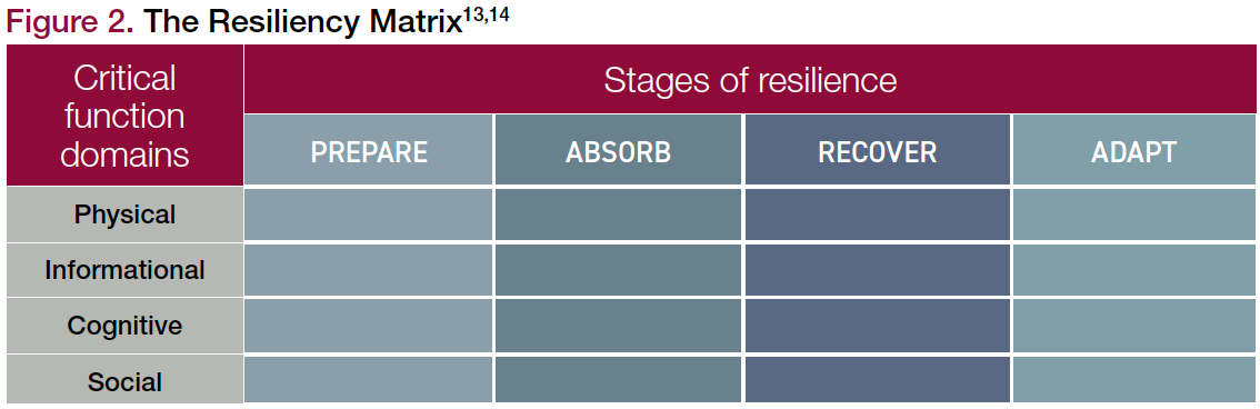 Resilience and Healthy Aging