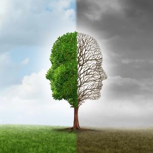 bipolartree-lightspring-shutterstock