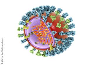 pathogens, infections, psychiatry