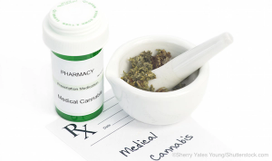 Cannabinoids for Chronic Pain: An Opioid Alternative?