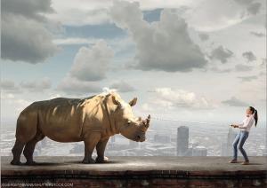 © Sergey Nivens/shutterstock.com