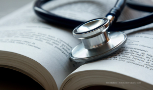 Mini Quiz: Why Language Matters