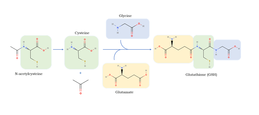Exploring N-Acetylcysteine in Psychiatry