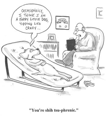 An accurate diagnosis?