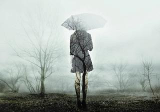 Advice from a Raindrop