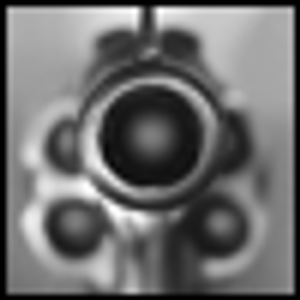 POINT: The Case for Gun Control