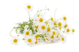 Ditch the Quarantini: Healthy Options for Psychological Well-Being