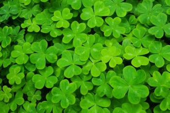 lucky
