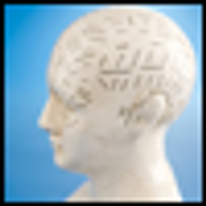 Novel Therapies for Cognitive Dysfunction Secondary to Substance Abuse