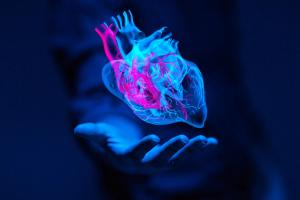 A study assessed the associations between the use of ADHD medications and CVD over the course of 14 years. Here's what the investigators found.