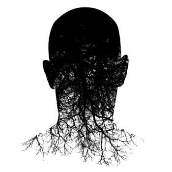 posttraumatic growth reflections