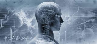 Strategies for Keeping Our Prefrontal Cortex Online