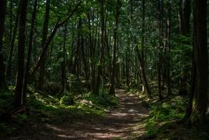 MarvinMinder(C)shutterstock