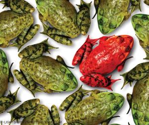 © Lightspring/shutterstock.com