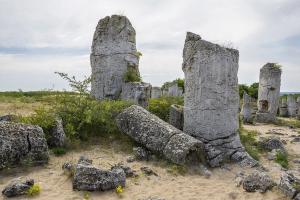 Expanding Telemental Health in Response to the COVID-19 Pandemic