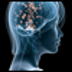 Neuroimaging of Mood Disorders