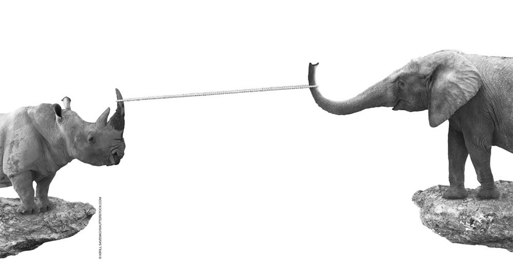 © Kirill Savenko/shutterstock.com