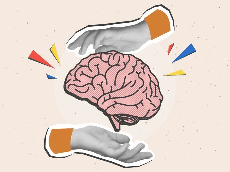 brain