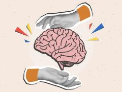 brain